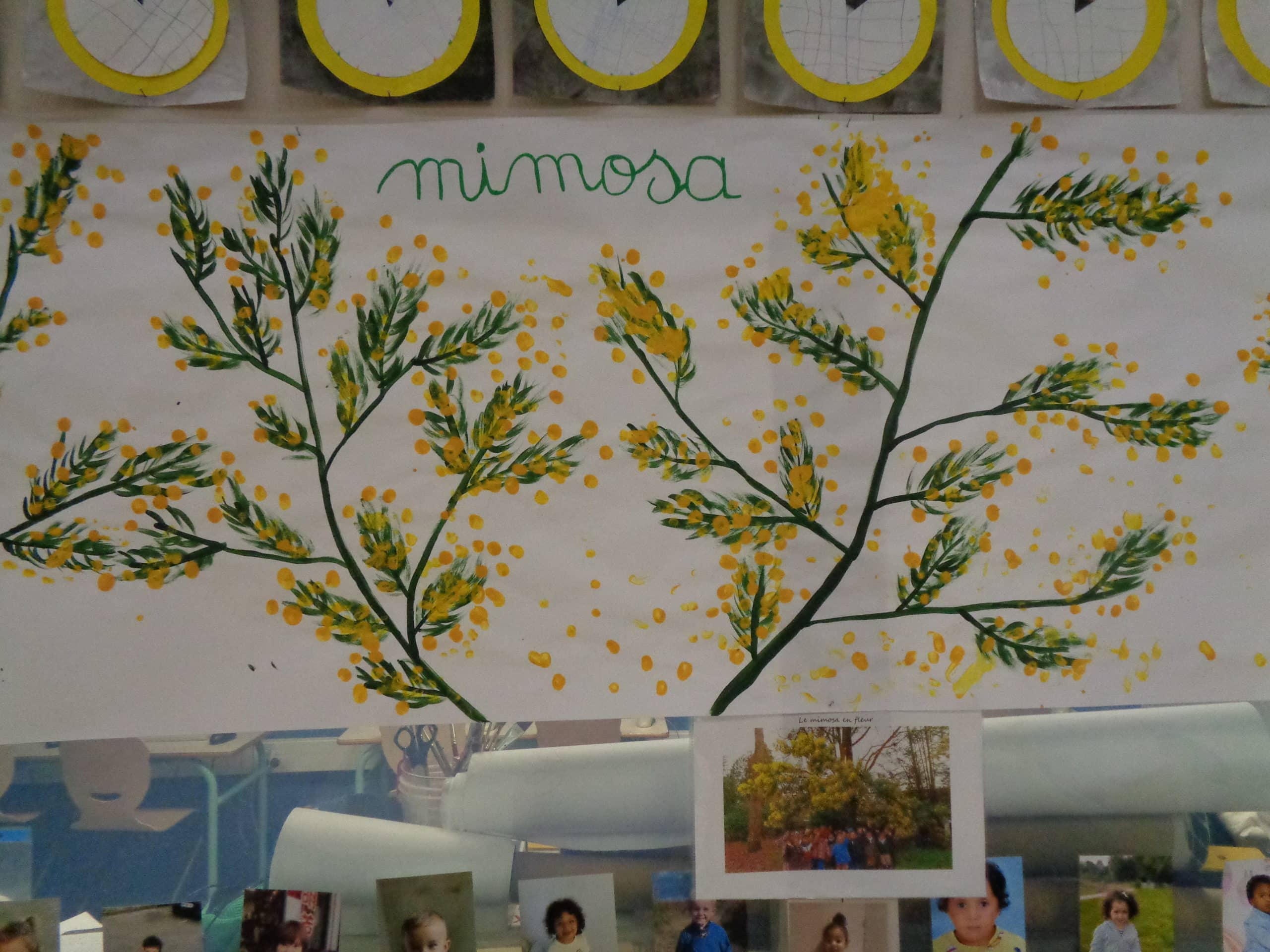 Les arbres d’hiver